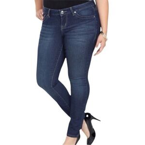 TORRID Classic Medium Wash Skinny Jeans Size 22S
